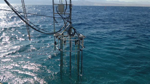 Read more about the article Open sea wave sensor הטכניון
