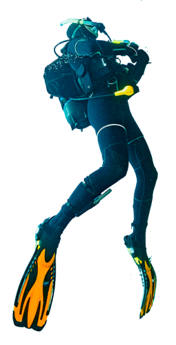 diver4